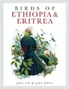 Birds of Ethiopia and Eritrea cover