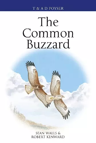 The Common Buzzard cover