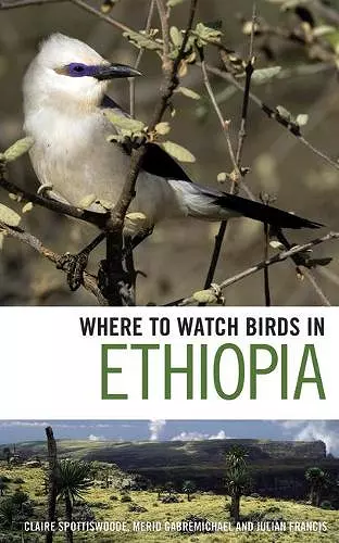 Where to Watch Birds in Ethiopia cover