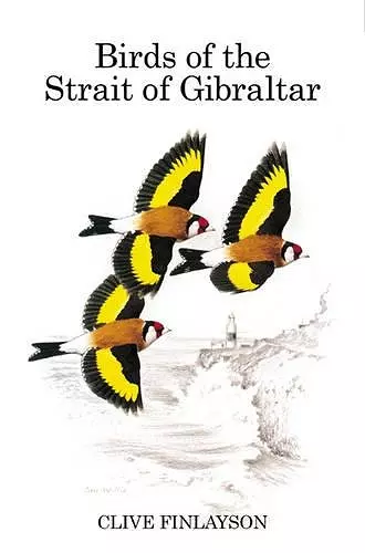 Birds of the Strait of Gibraltar cover