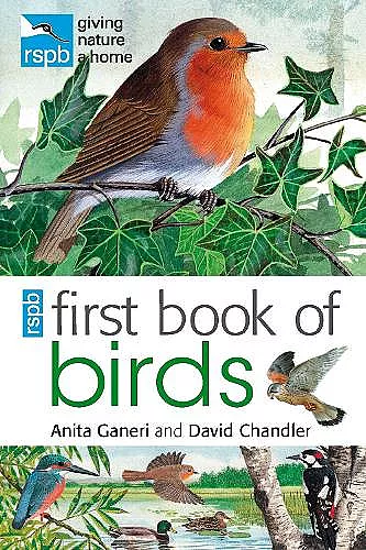RSPB First Book Of Birds cover