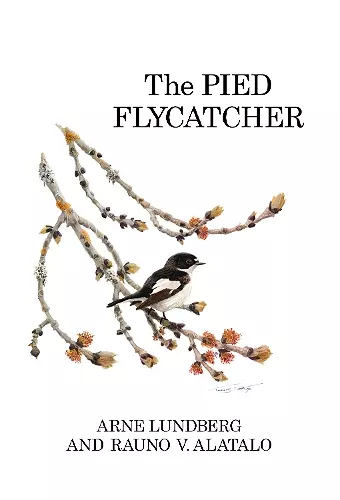 The Pied Flycatcher cover