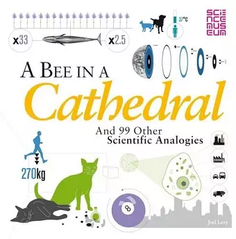 A Bee in a Cathedral cover