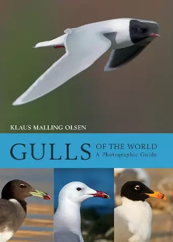 Gulls of the World cover