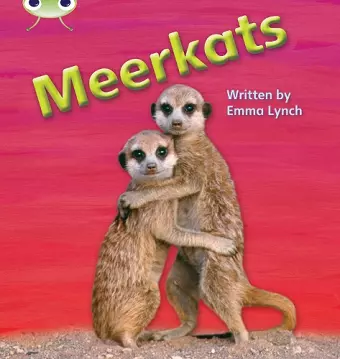 Bug Club Phonics - Phase 5 Unit 22: Meerkats cover