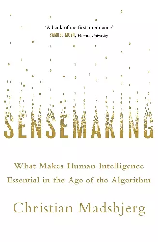 Sensemaking cover