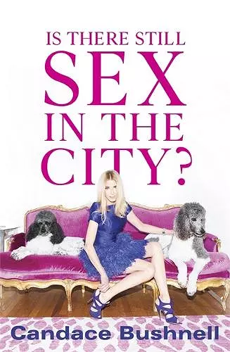 Is There Still Sex in the City? cover