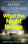 What the Night Brings cover
