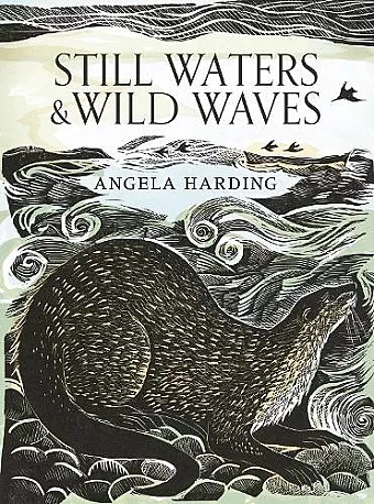 Still Waters and Wild Waves cover