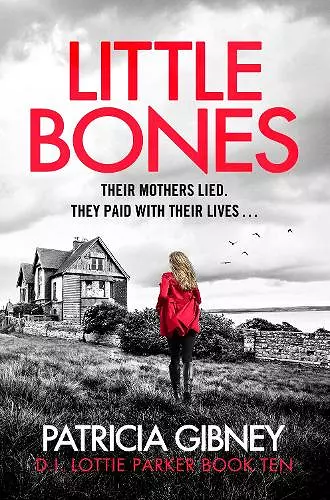 Little Bones cover