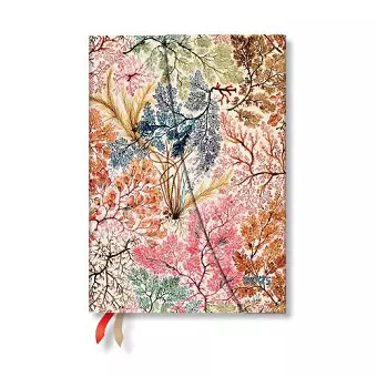 Anemone (William Kilburn) Midi 12-month Horizontal Hardback Dayplanner 2025 (Wrap Closure) cover