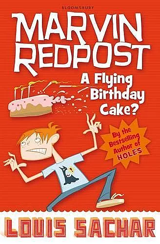 A Flying Birthday Cake? cover
