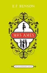 Mrs Ames cover