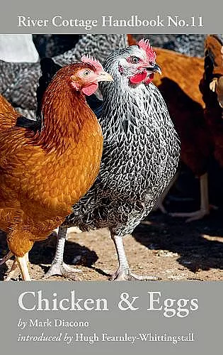 Chicken & Eggs cover