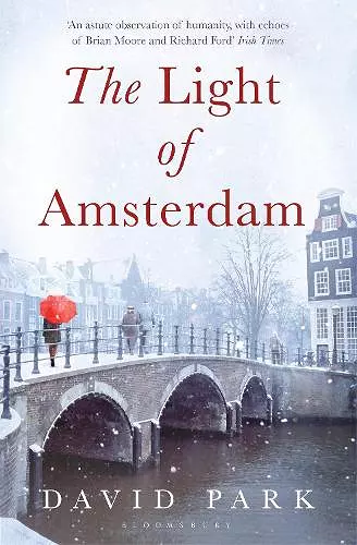 The Light of Amsterdam cover