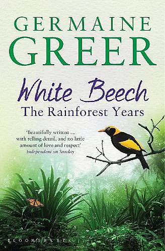 White Beech cover