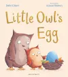 Little Owl's Egg cover