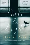 Gods and Angels cover