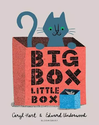 Big Box Little Box cover