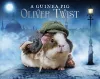 A Guinea Pig Oliver Twist cover