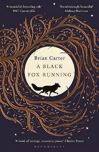 A Black Fox Running cover