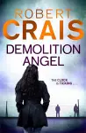 Demolition Angel cover