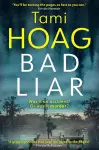 Bad Liar cover