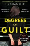 Degrees of Guilt cover