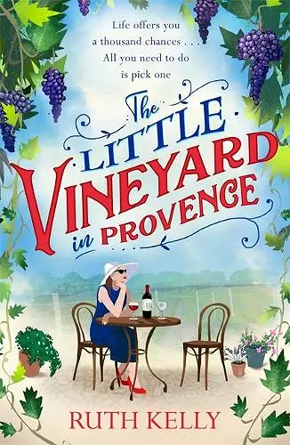 The Little Vineyard in Provence cover