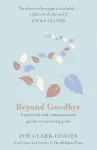 Beyond Goodbye cover