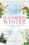 Blackberry Winter cover