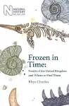 Frozen in Time cover