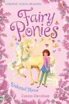 Fairy Ponies Enchanted Mirror cover