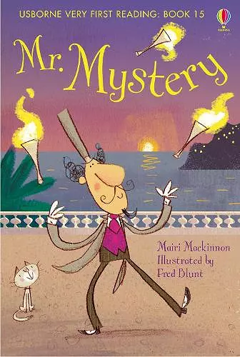 Mr Mystery cover