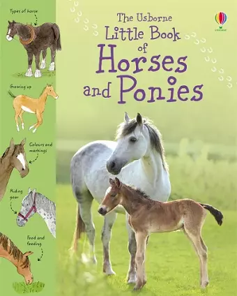 Little Book of Horses and Ponies cover