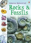 Rocks and Fossils cover