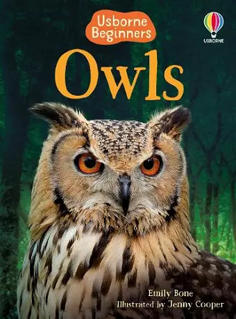 Owls cover