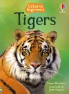 Tigers cover