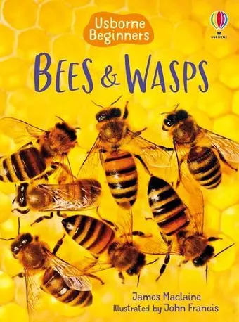 Bees and Wasps cover