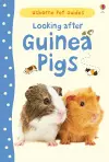 Looking after Guinea Pigs cover