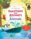 Lift-the-flap Questions and Answers about Animals packaging