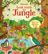 Look Inside the Jungle cover
