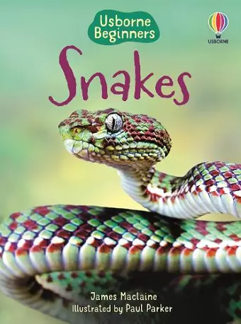 Snakes cover