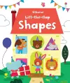 Lift-the-flap Shapes cover