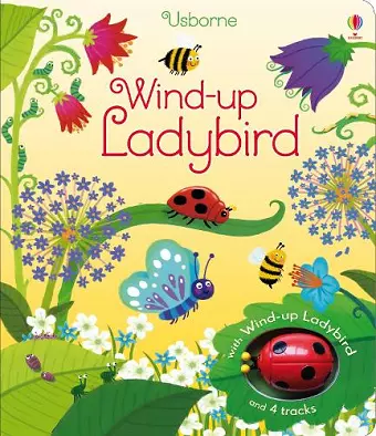 Wind-up Ladybird cover