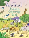 Animal Sticker and Colouring Book cover
