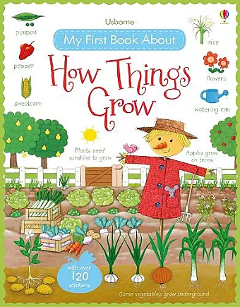 My First Book About How Things Grow cover