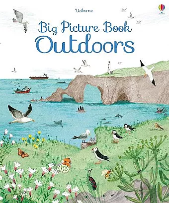 Big Picture Book Outdoors cover