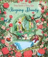 Peep Inside a Fairy Tale Sleeping Beauty cover