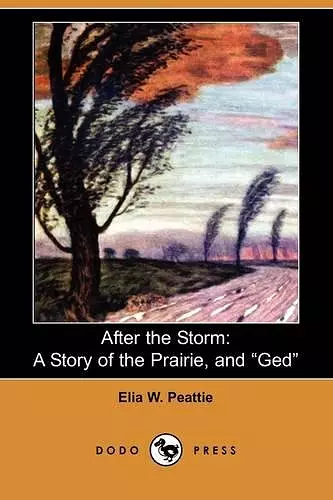 After the Storm cover